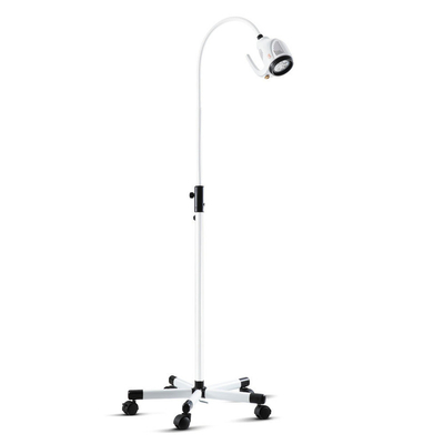 Metal Ce Certified Approved Ac90-240V Goose Neck Examination Lamp For Hospital Patient